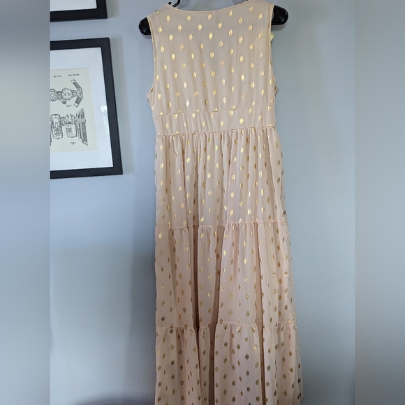 Charlie Charlie Charlotte Apricot Lace Sleeveless Empire Waist Maxi Dress - Picture 8 of 13